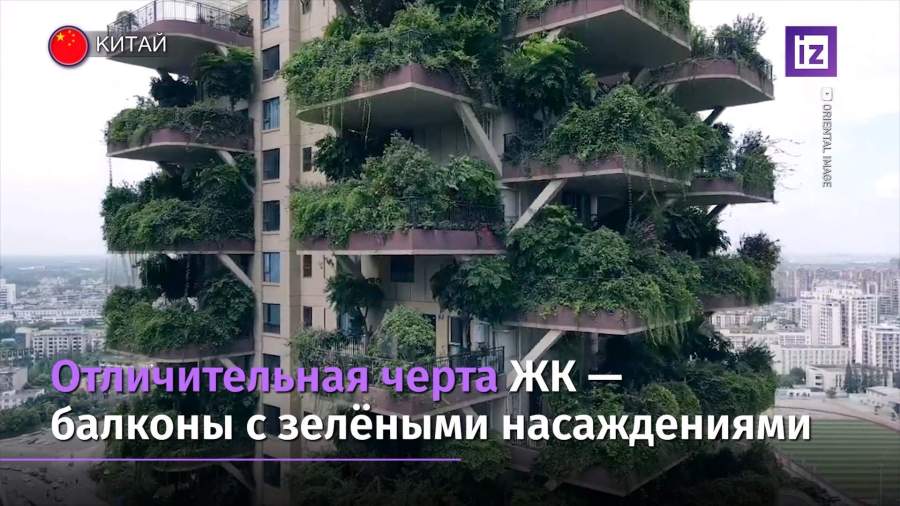 В Китае провалился проект жилого комплекса с «вертикальным лесом»