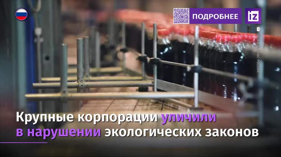 Ряд международных компаний уличили в нарушении экологических законов РФ
