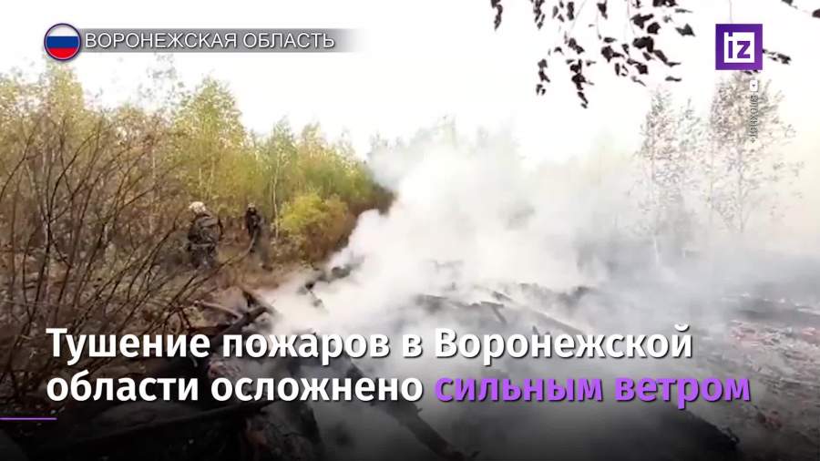 В Воронежской области бушуют мощные природные пожары