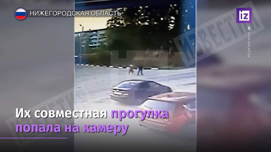 В Нижегородской области задержали подозреваемого в убийстве школьницы