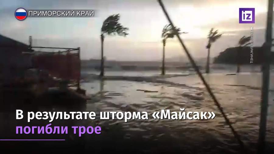 Две тысячи человек остались без света в Приморье из-за тайфунов