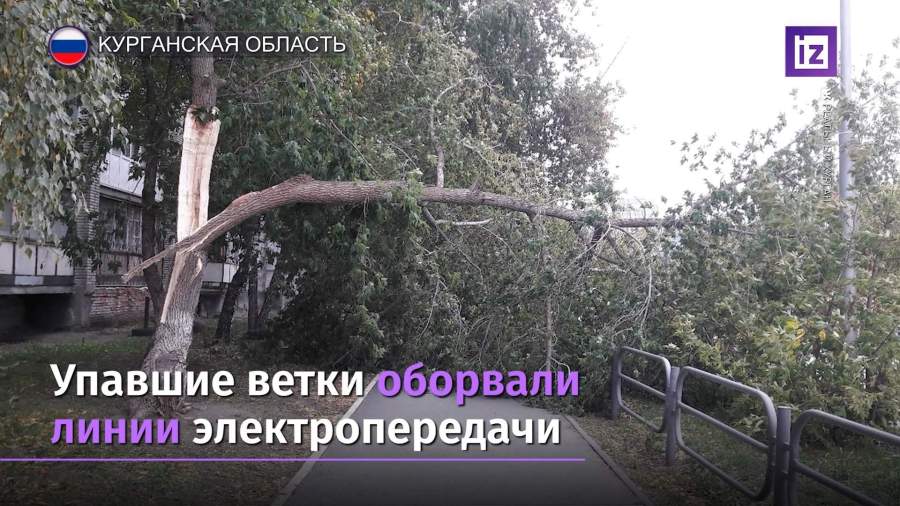 На Курган обрушился ураганный ветер