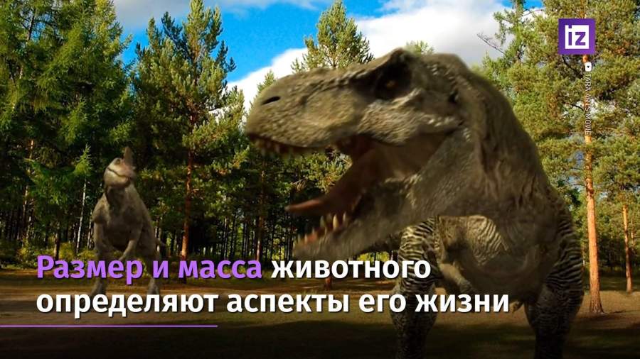 Ученые назвали вес тираннозавра