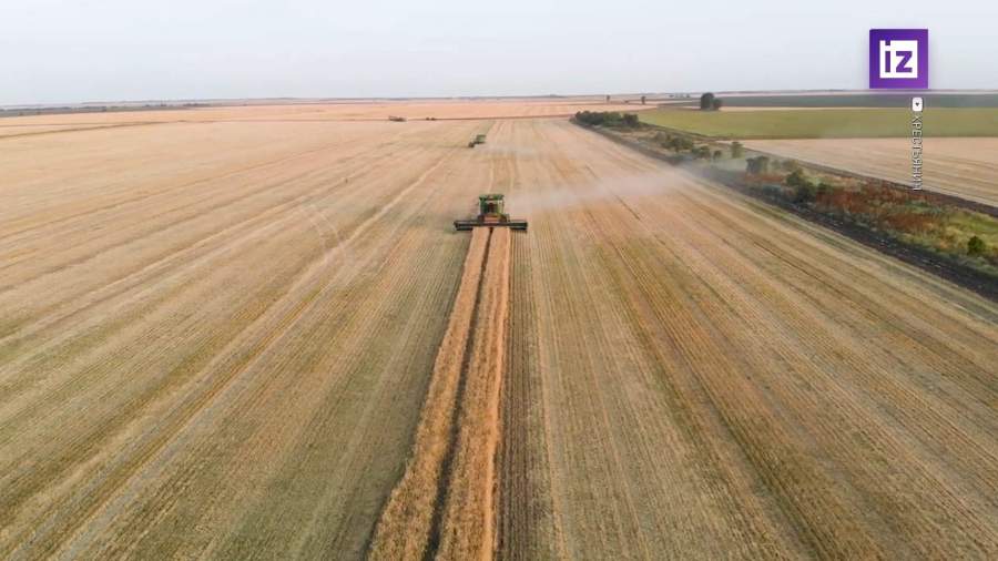 Сбор зерна в РФ бьет рекорды