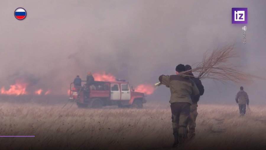 На юге России выросло число ландшафтных пожаров