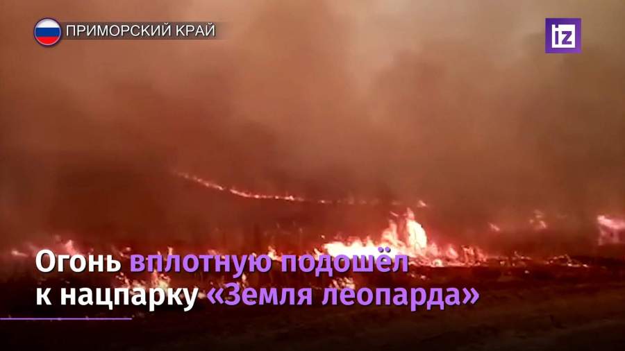 В национальном парке «Земля леопарда» потушили крупный пожар