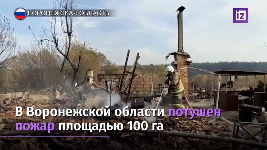 В Ростовской области действуют два крупных лесных пожара