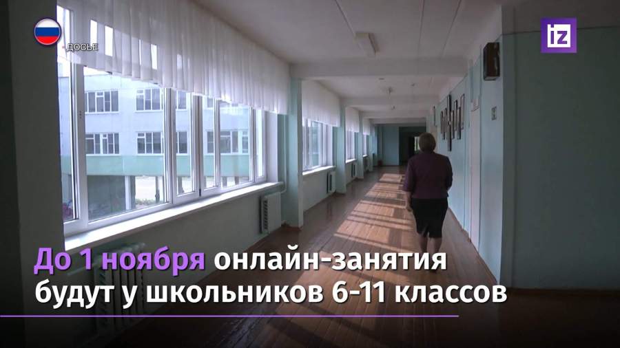 Школьники в Москве частично вернутся к дистанционному формату обучения