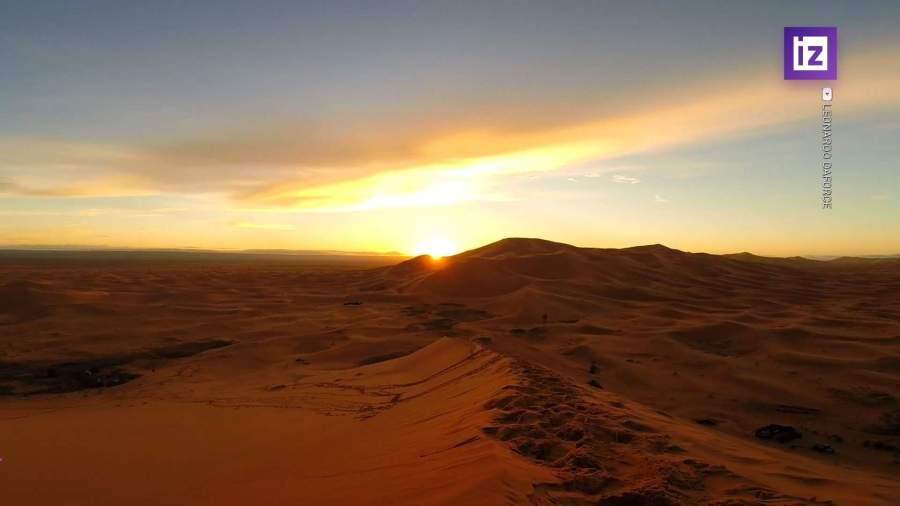 В пустыне Сахара обнаружили более 1 млрд деревьев