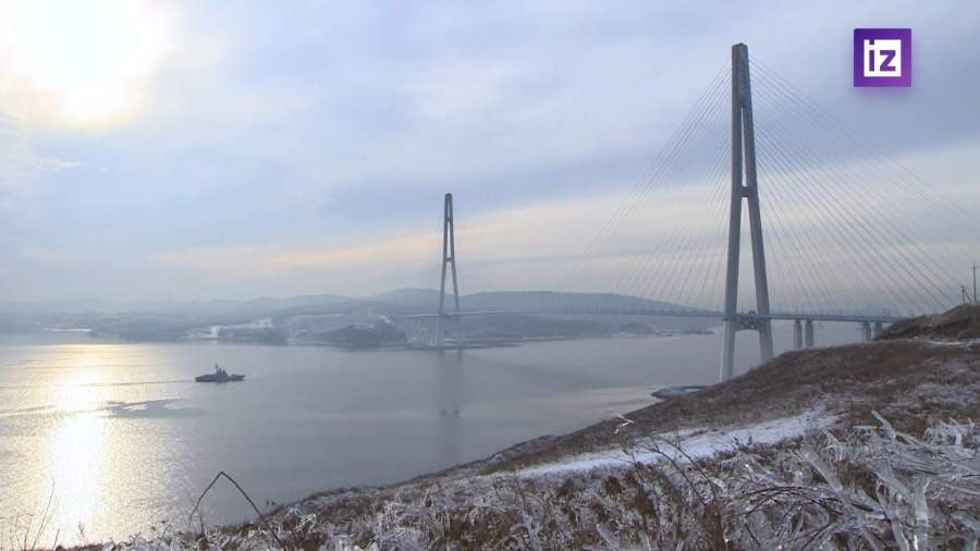 В Приморье на фоне чрезвычайной ситуации активизировались мошенники