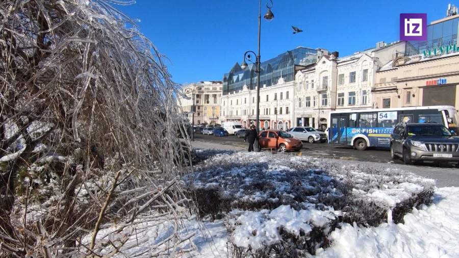 В Приморье продолжаются работы по восстановлению после ледяного шторма