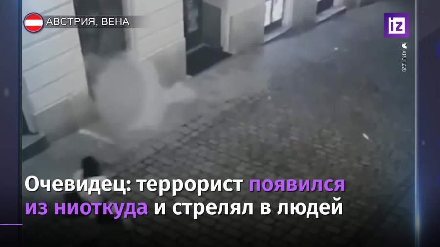Очевидцы рассказали о нападениях в центре Вены