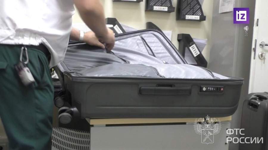 В Домодедово у россиянки изъяли люксовые товары на 4 млн рублей