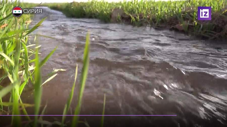В Сирии восстановили систему водоснабжения
