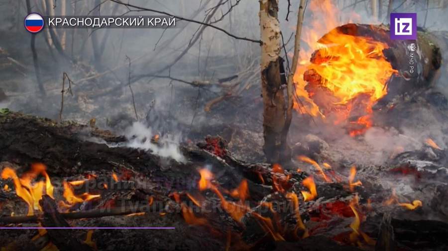 С тушением природного пожара на Кубани борются третьи сутки