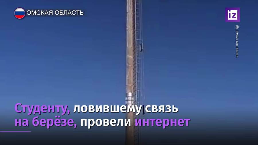 Ловившему связь на березе студенту провели интернет