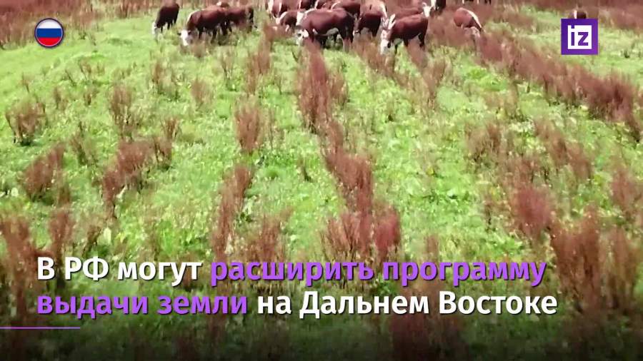В РФ могут расширить программу выдачи земли на Дальнем Востоке