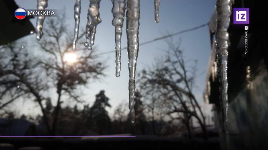 Мокрый снег с дождем вернется в Москву на следующей неделе