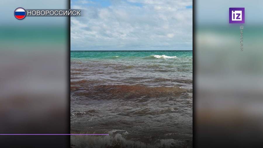 В Новороссийске море окрасилось в красный цвет