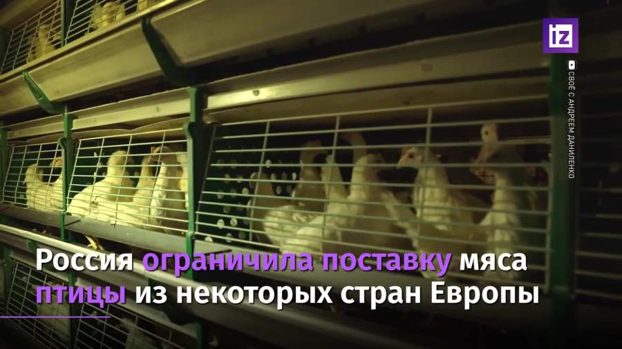 Россия ограничила поставку мяса птицы из некоторых стран Европы