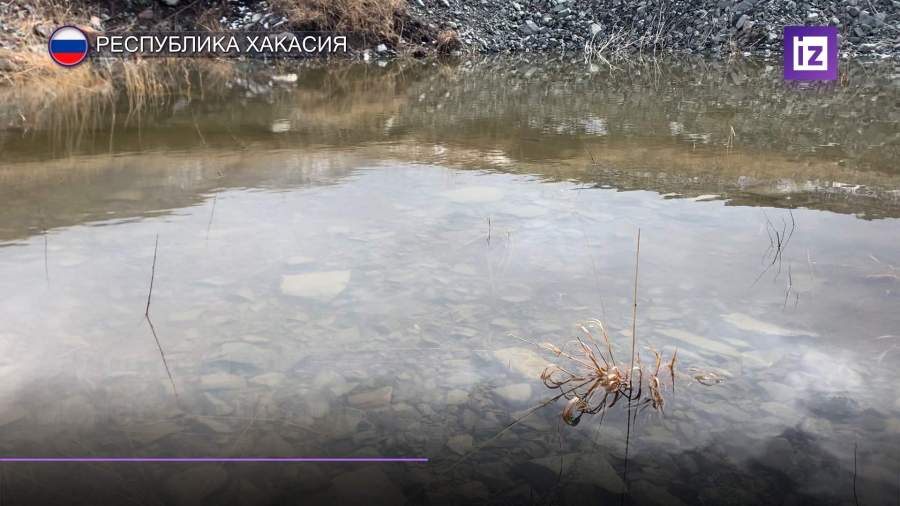 Золотодобытчики размыли дамбу и допустили загрязнение местных рек