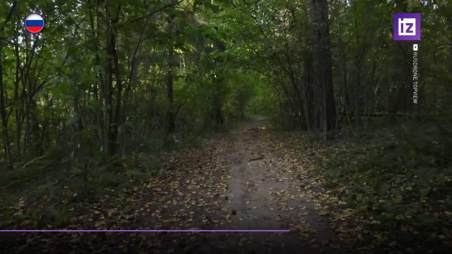 Из-за пожароопасности в Подмосковье ограничат въезд и вход в леса