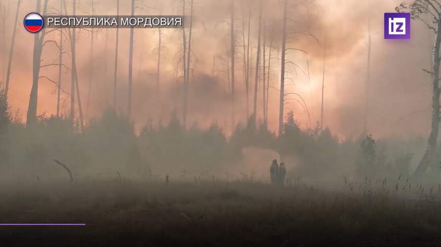 В Мордовии сотрудники МЧС и Минобороны попали в огненное кольцо