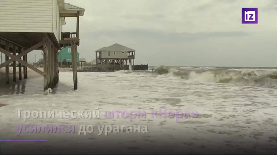 Тропический шторм «Нора» усилился до урагана в Тихом океане