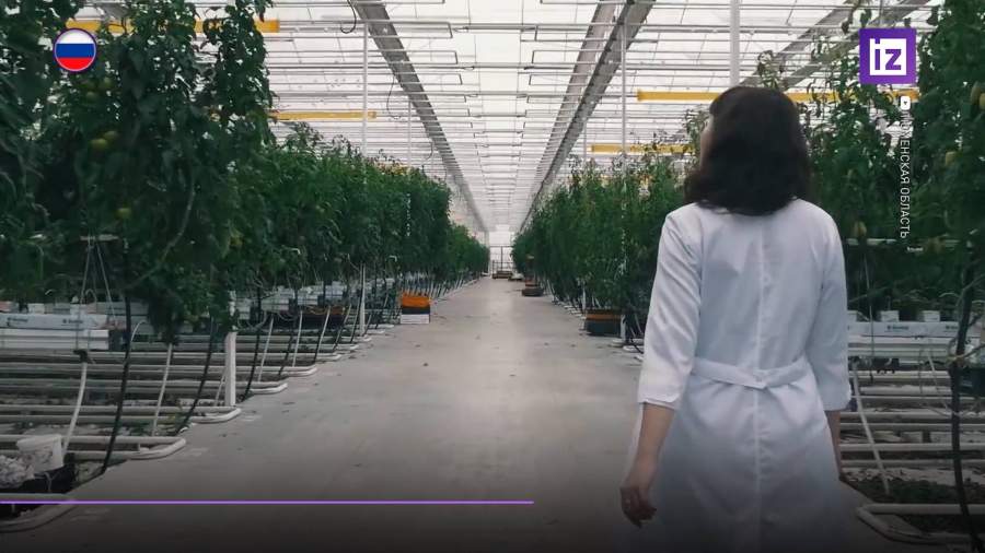 Особые экономические зоны появятся еще в трех российских регионах