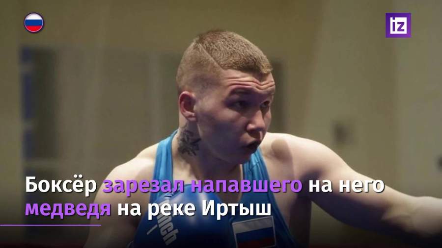 Боксер убил напавшего на него медведя и сам оказался в больнице