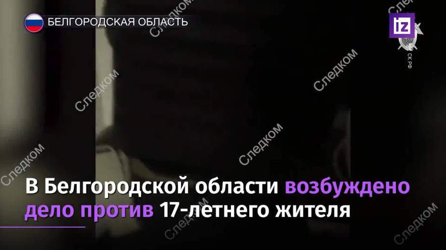 В Белгородской области возбуждено дело против 17-летнего жителя
