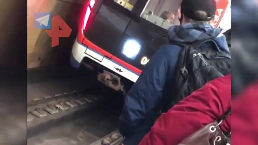 что случилось сегодня метро сходненская. Смотреть фото что случилось сегодня метро сходненская. Смотреть картинку что случилось сегодня метро сходненская. Картинка про что случилось сегодня метро сходненская. Фото что случилось сегодня метро сходненская
