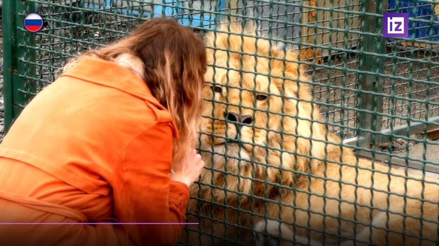 Журналисты навестили в Африке льва Симбу и леопарда Еву из Челябинска