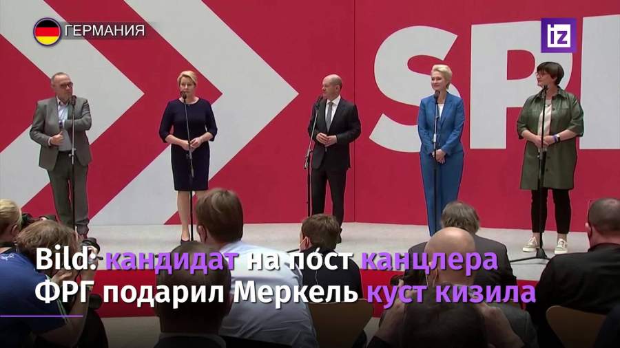 Кандидат на пост канцлера ФРГ Шольц подарил Меркель куст кизила
