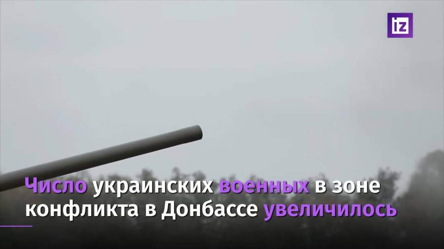 Захарова заявила о сосредоточении ВСУ в районе Донбасса