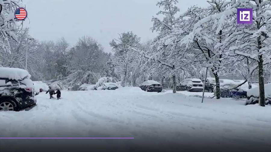 Более 850 тыс. домов в США остались без света из-за снегопада