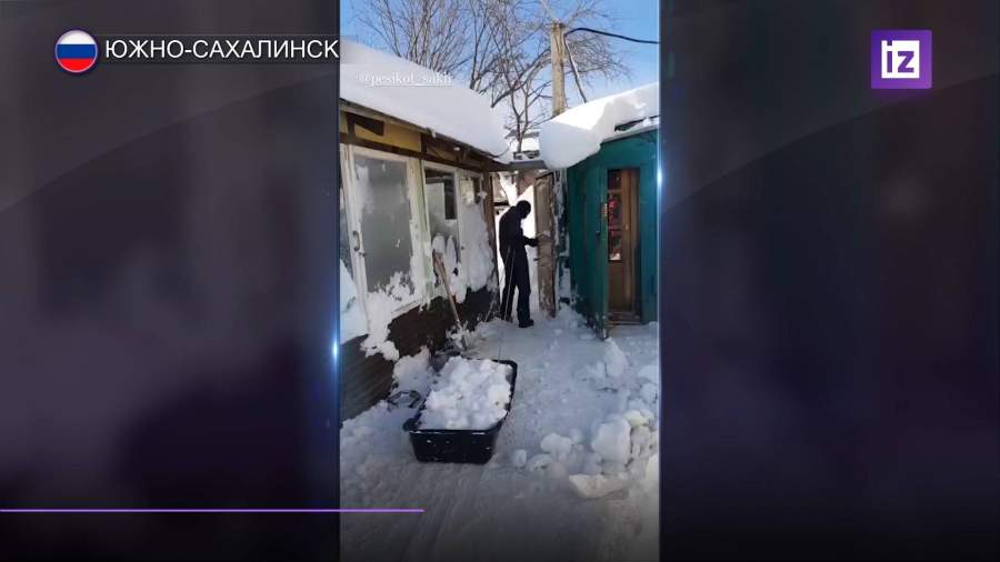 На Сахалине волонтеры расчистили территорию приюта для животных от снега