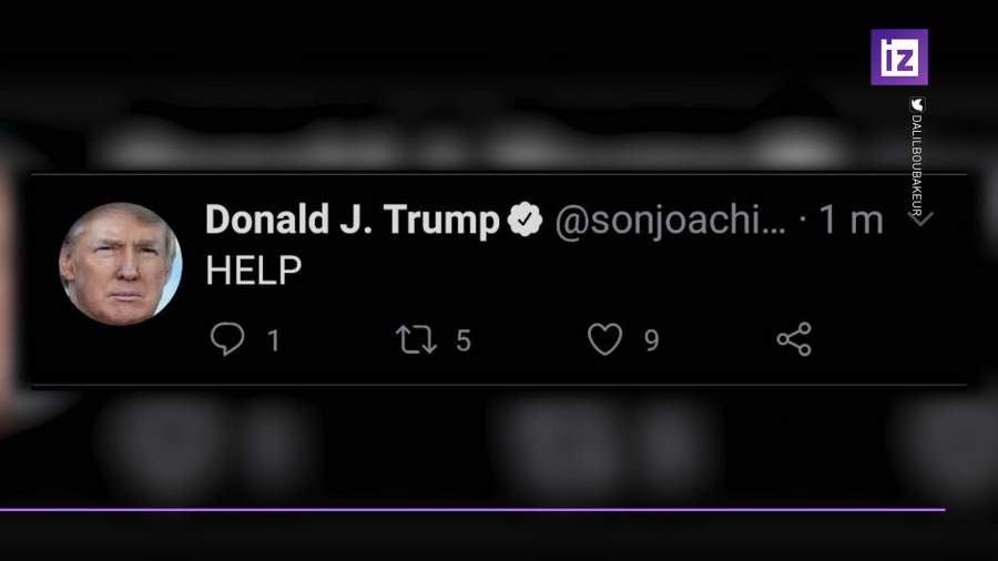 Twitter перестала бороться с фейками о выборах 2020 года в США