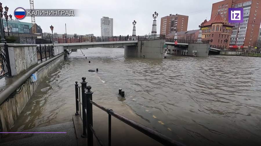В Калининграде вышедшая из берегов река Преголя затопила улицы