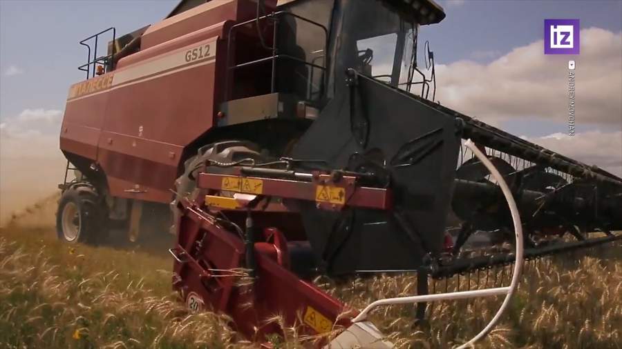 Минсельхоз повысил экспортную пошлину на пшеницу из России