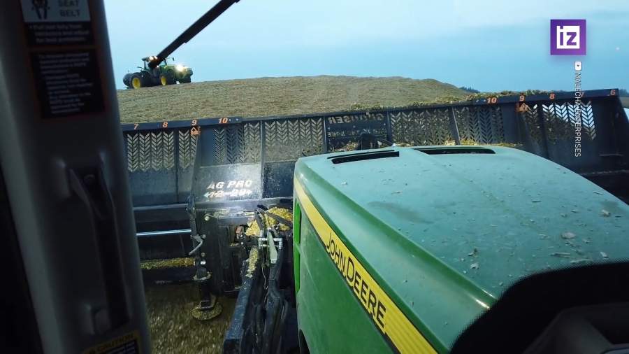 Мировые цены на пшеницу падают