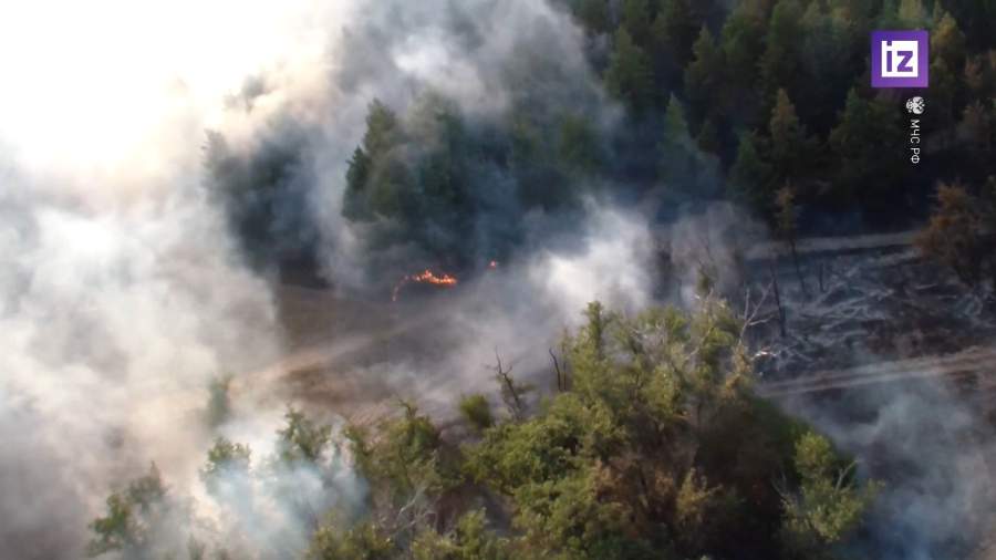 Введен режим ЧС на территории Хабаровского края по причине лесных пожаров