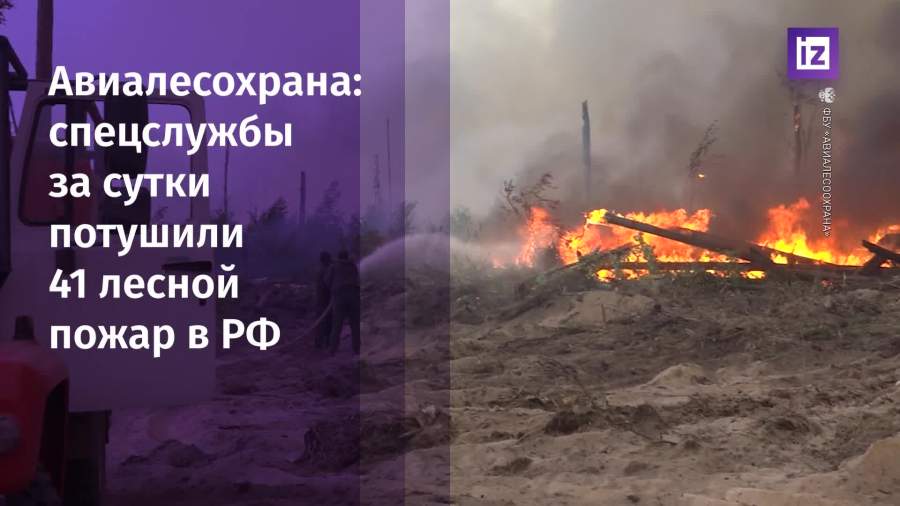 За сутки в России потушили 41 лесной пожар на почти 2 тыс. га