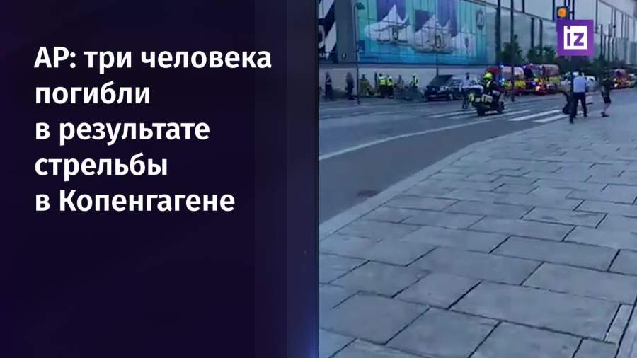 Три человека погибли в результате стрельбы в Копенгагене