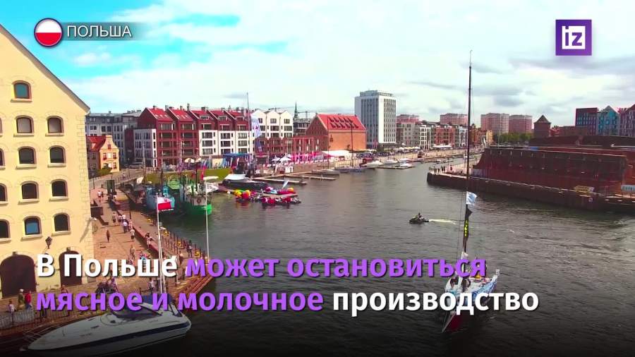 Поляков предупредили о пропаже продуктов в магазинах