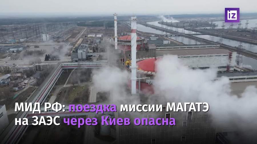 МИД РФ сочло опасной поездку миссии МАГАТЭ на ЗАЭС через Киев