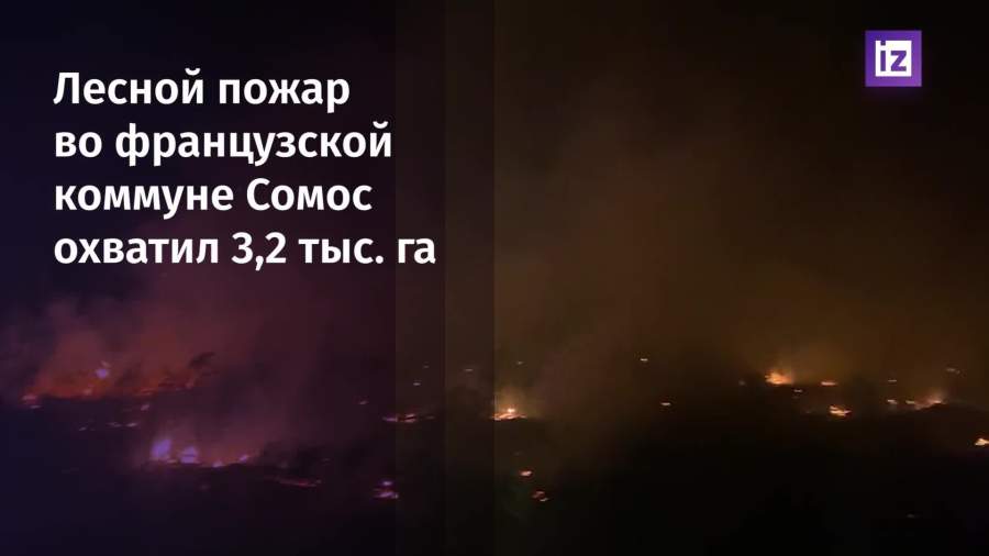 Пожар во французской Жиронде уничтожил 3200 га лесов