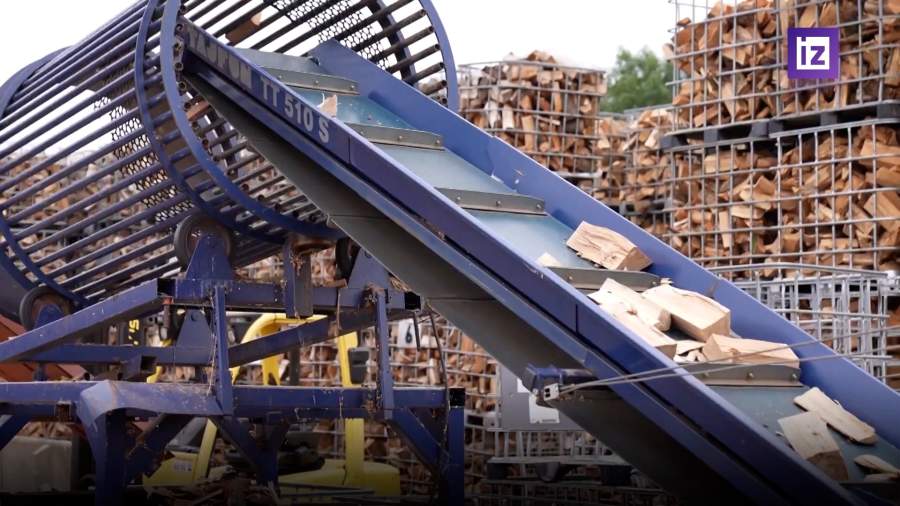 На фоне энергокризиса участились случаи краж древесины в Германии