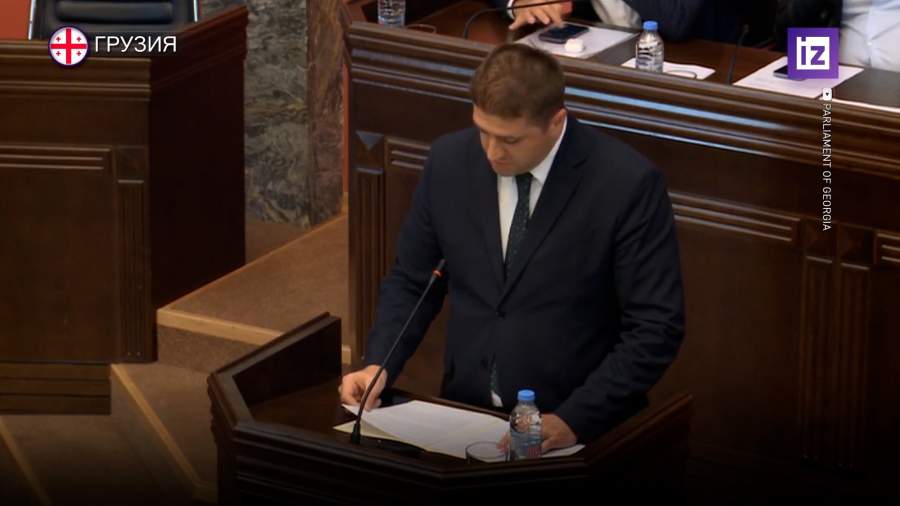 В Грузии предложили высылать из страны граждан РФ