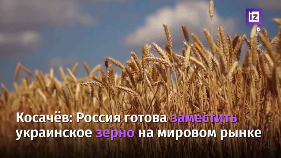 В Совфеде заявили о готовности заменить украинское зерно на рынке